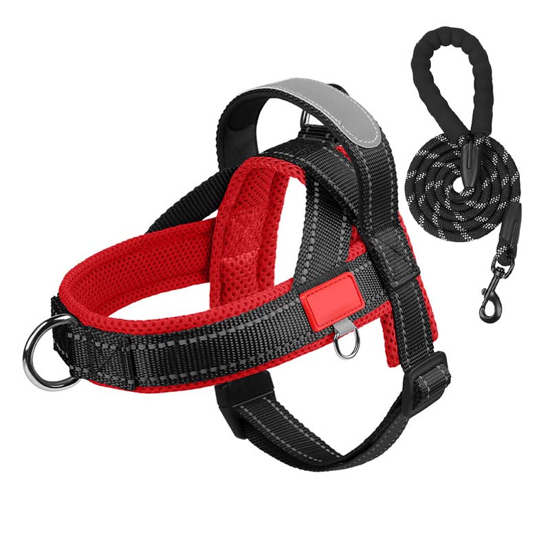 Pettorina per cani + guinzaglio omaggio 1,5 m x 1,0 m
