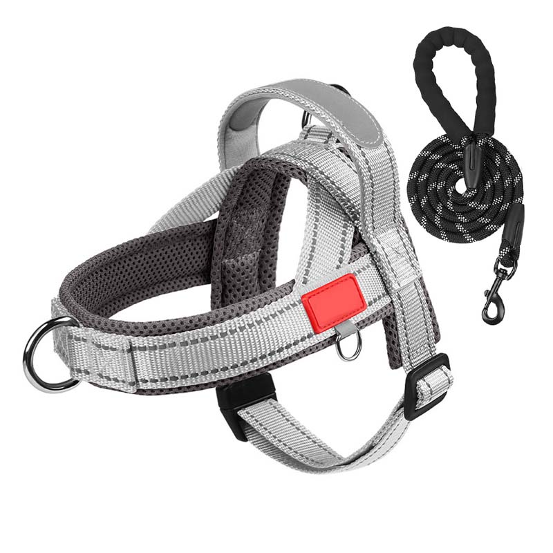 Pettorina per cani + guinzaglio omaggio 1,5 m x 1,0 m