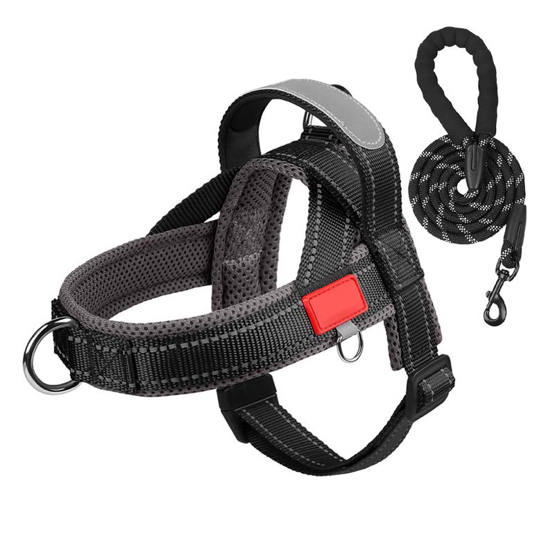 Pettorina per cani + guinzaglio omaggio 1,5 m x 1,0 m