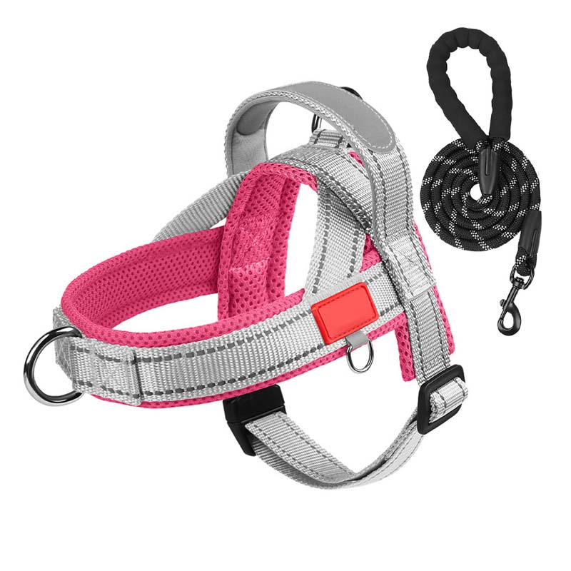 Pettorina per cani + guinzaglio omaggio 1,5 m x 1,0 m