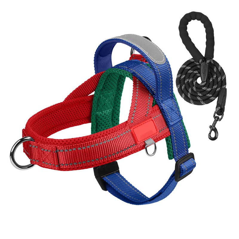 Pettorina per cani + guinzaglio omaggio 1,5 m x 1,0 m