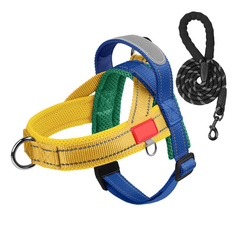 Pettorina per cani + guinzaglio omaggio 1,5 m x 1,0 m
